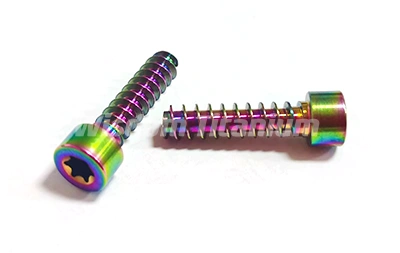 Titanium Self-Tapping Screws